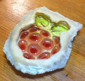 Raspberry Pi rubber latex ice mould